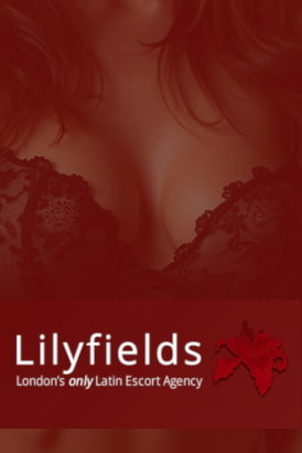Logo of Lilyfields London Latin Agency